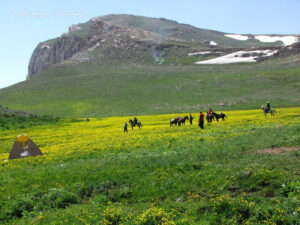 طبیعت سماموس