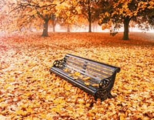 نیمکتی در باغی پر از برگهای خشک پاییزی