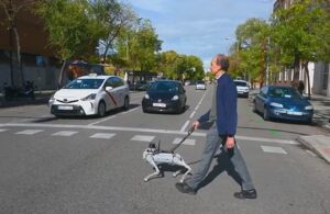 فرد نابینا در حال عبور از خیابان با همراهی تفی، ربات سگ راهنما