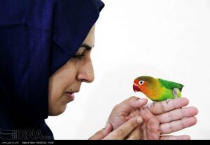 تصویر پرنده روی انگشتان دست خانم نابینا